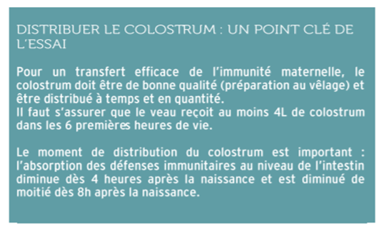 Distribuer le colostrum : point clé de l'essai