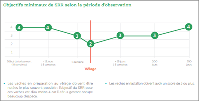 Objectifs minimaux de SRR selon la période d'observation