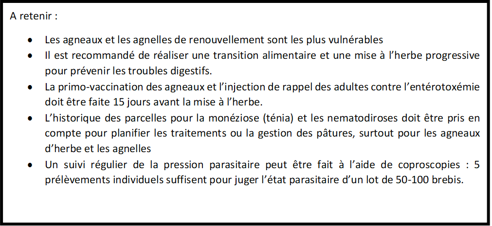 A retenir pour la mise à l'herbe