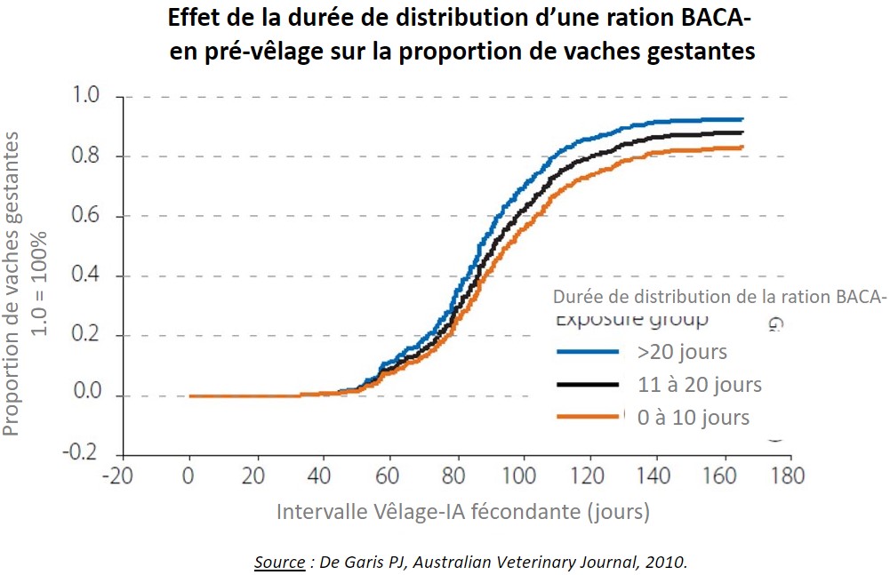 Effet de la durée de distribution d’une ration BACA- ​ en pré-vêlage sur la proportion de vaches gestantes​