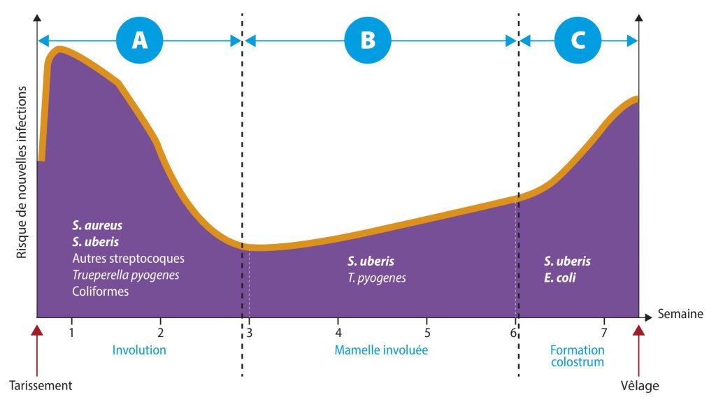 graphique 3 phases