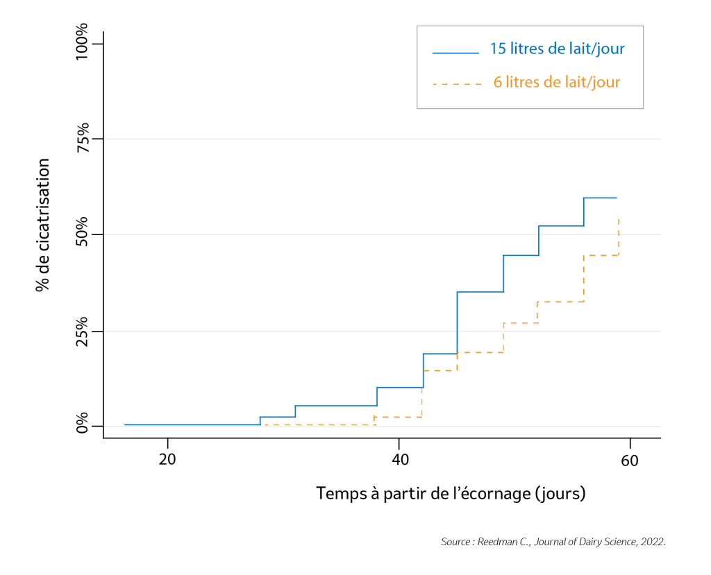 Temps à partir de l'écornage