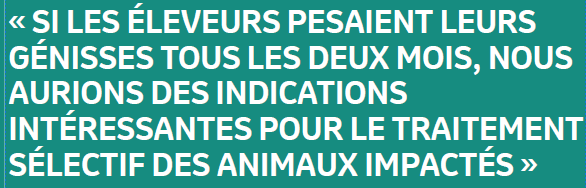 « SI LES ÉLEVEURS PESAIENT LEURS GÉNISSES TOUS LES DEUX MOIS, NOUS AURIONS DES INDICATIONS INTÉRESSANTES POUR LE TRAITEMENT SÉLECTIF DES ANIMAUX IMPACTÉS »