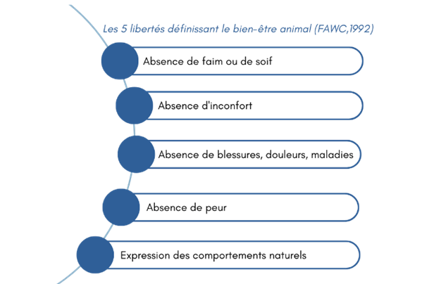 Les 5 libertés définissant le bien-être animal