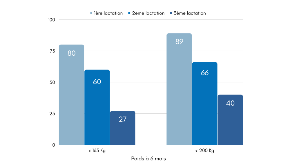 Pourcentage d’animaux encore présents en 1ère, 2ème et 3ème lactation en fonction de leur poids à 6 mois d’âge (Laumonnier, 2012)