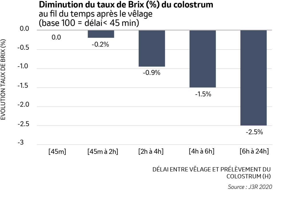 Graphique : diminution du taux de Brix du colostrum après vêlage