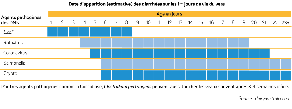 Date d'apparition estimative des diarrhées sur les premiers jours de vie du veau