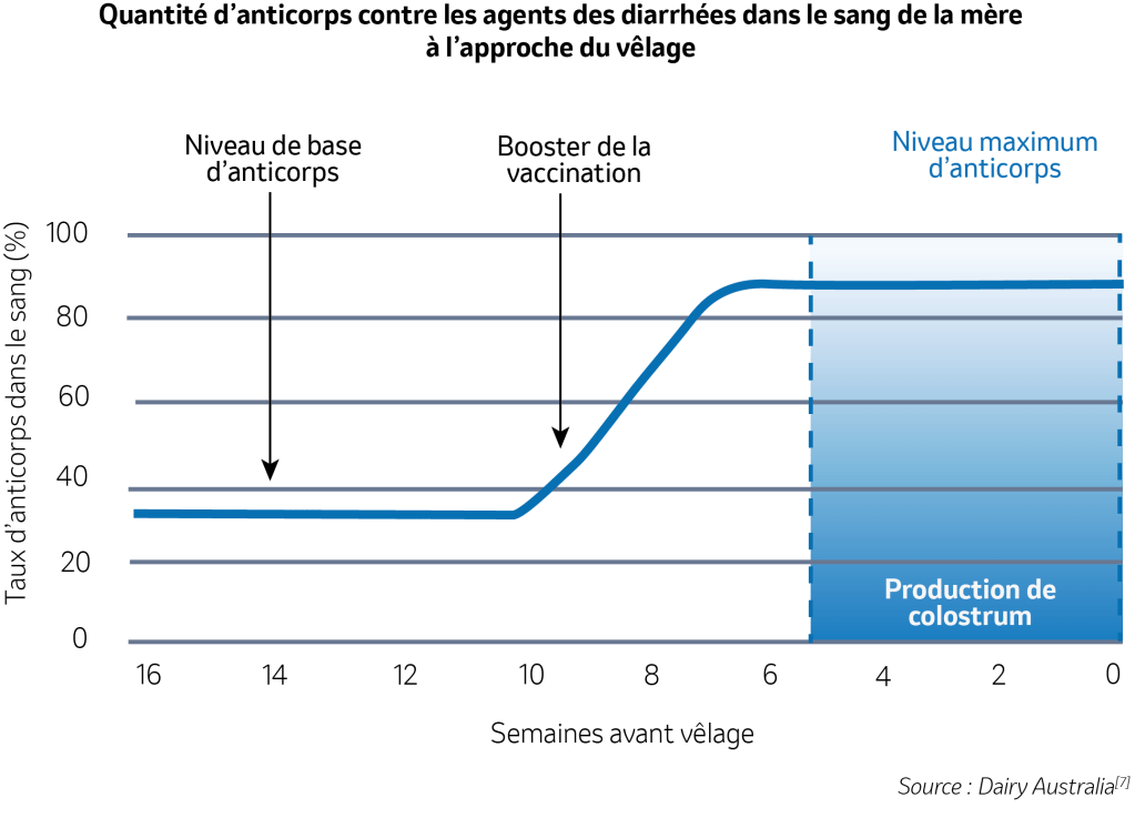 Quantité d'anticorps contre les agents des diarrhées dans le sang de la mère à l'approche du vêlage