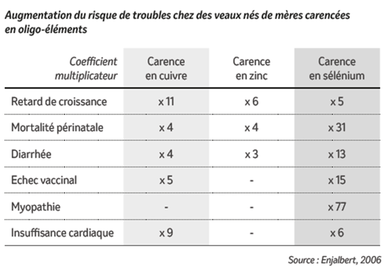 Tableau : augmentation du risque de troubles chez des veaux nés de mères carencées en oligo-éléments