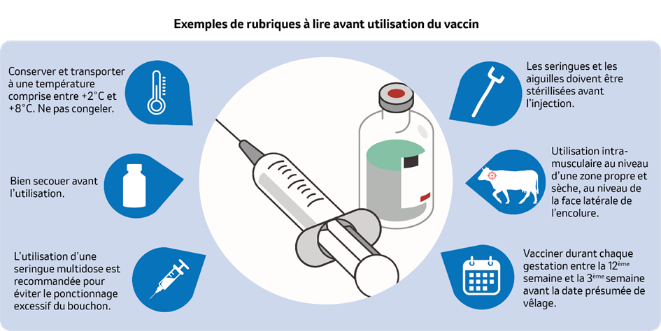 Exemples de rubriques à lire avant l'utilisation du vaccin