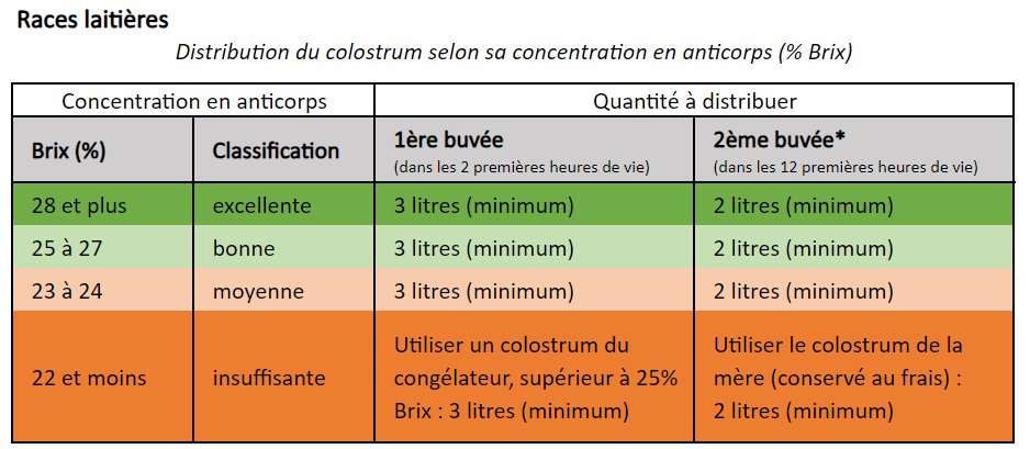 Races laitières