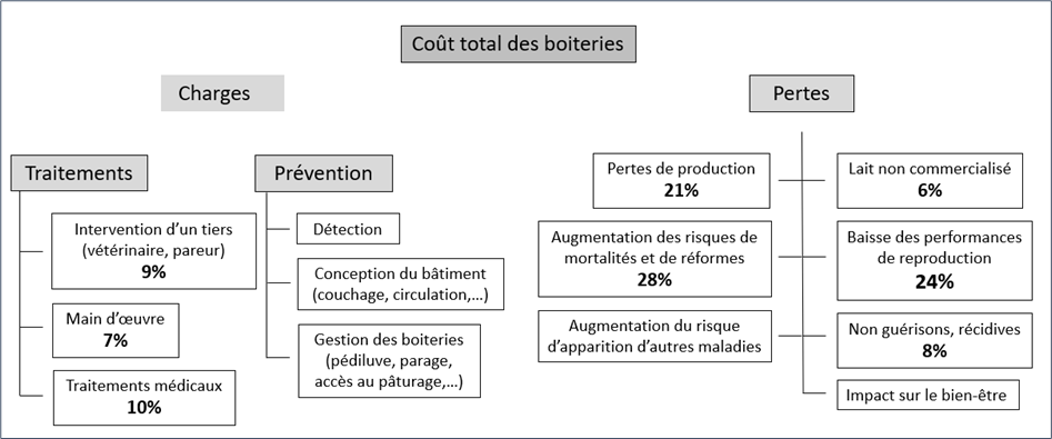 Coût total des boiteries des bovins