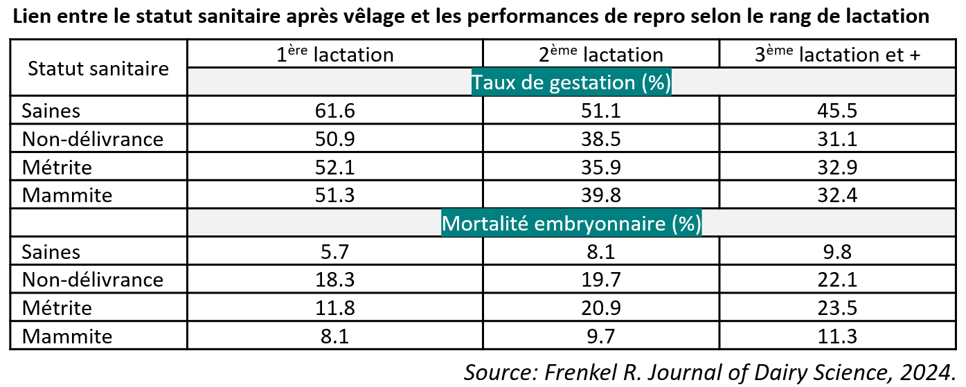 Lien entre le statut sanitaire après vêlage et les performances de repro selon le rang de lactation
