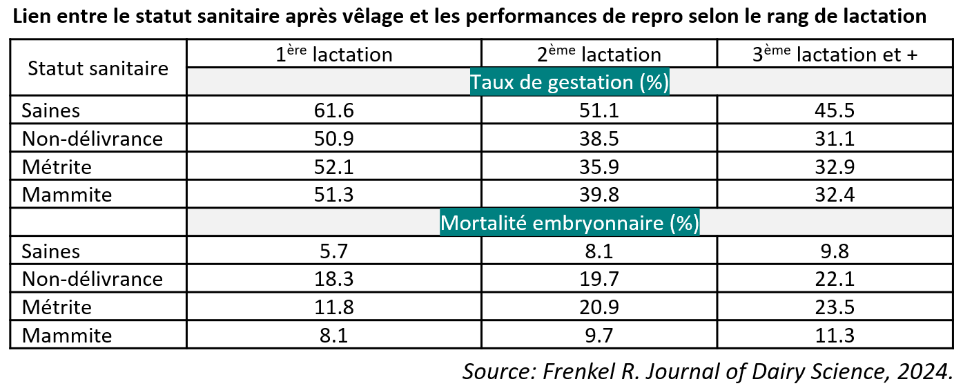 Lien entre le statut sanitaire après vêlage et les performances de repro selon le rang de lactation 
