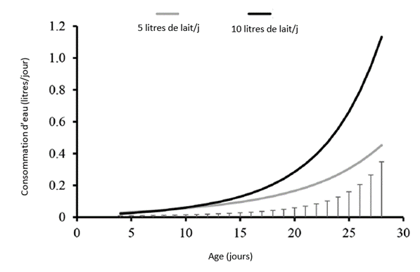 Consommation d'eau du jeune veau selon l'âge