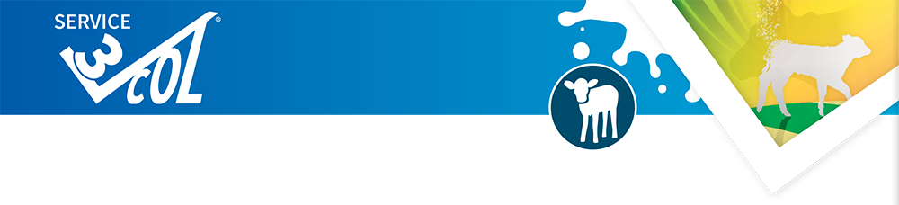 Service 3VCOL