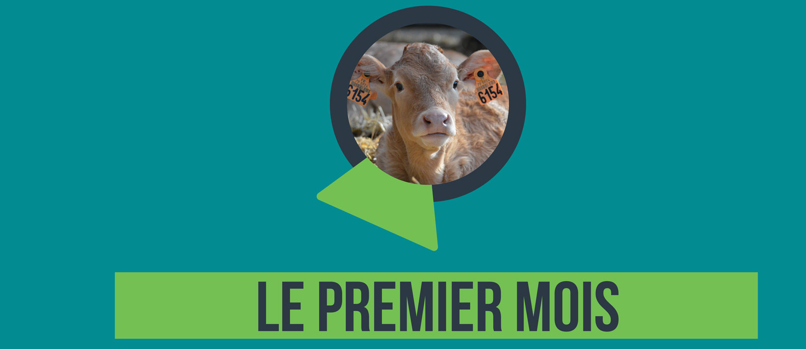 Le premier mois